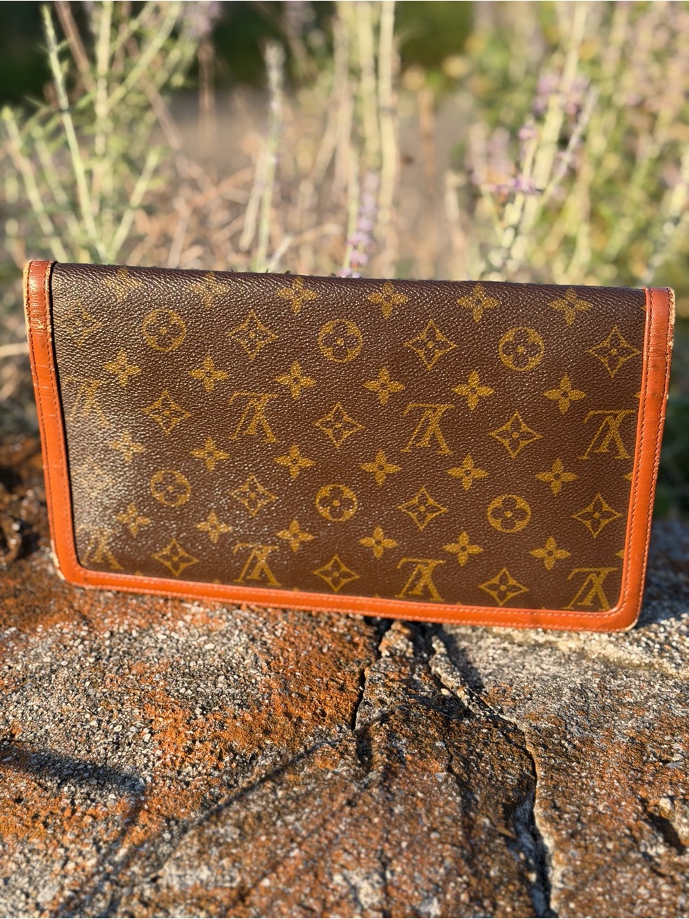 Louis Vuitton Dame clutch - Picture 2 of 9